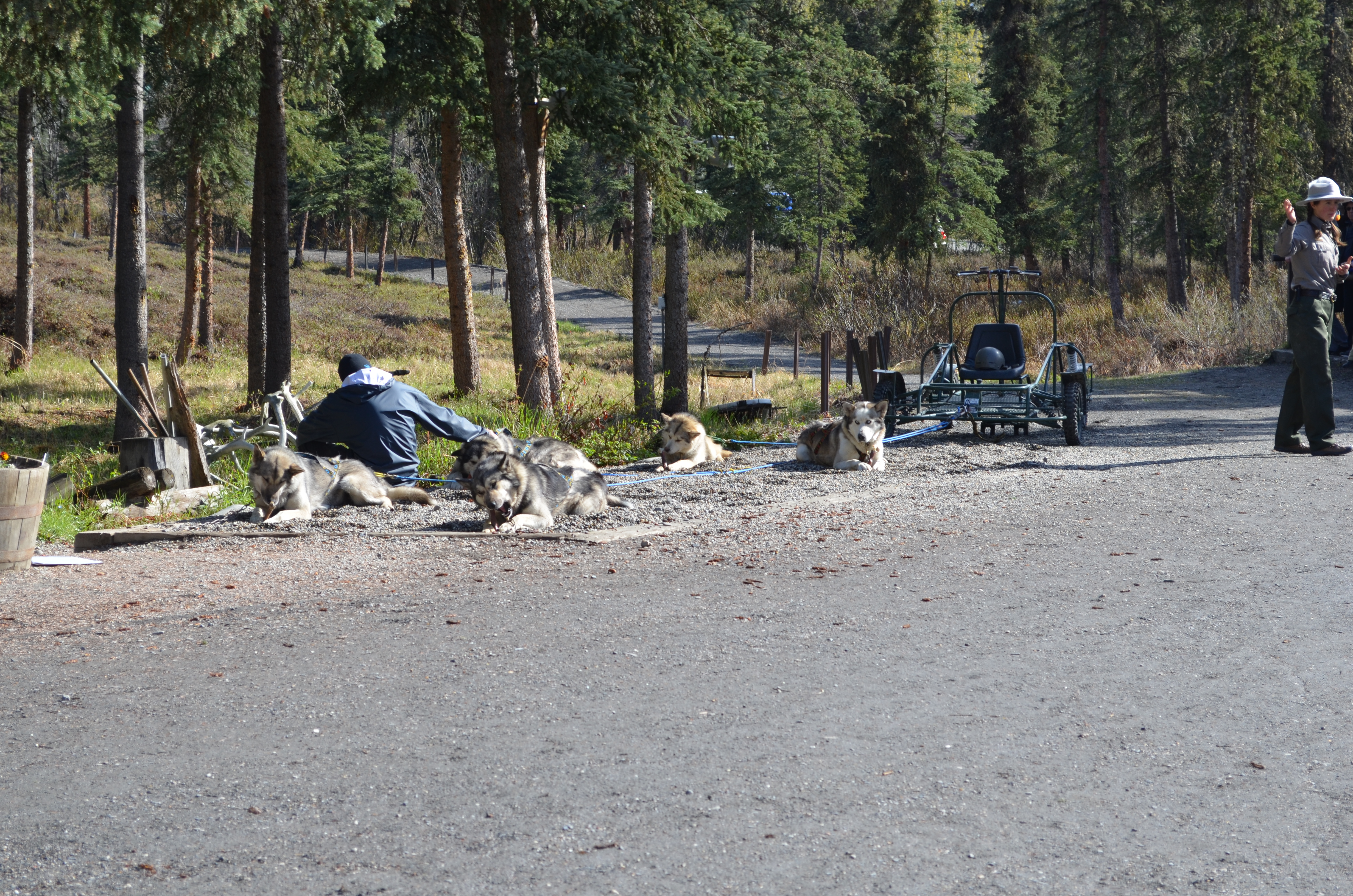 ./2017/08 - Alaska Cruise/03 - Denali/DSC_0270.JPG